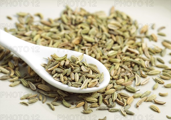 Seeds of fennel