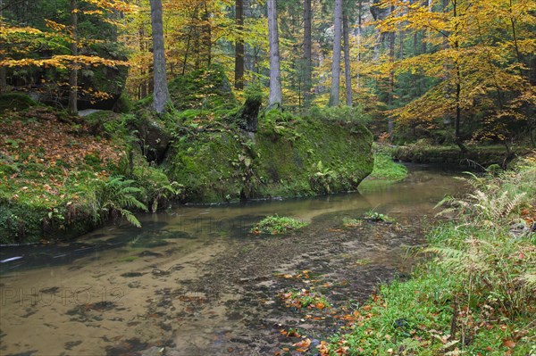 The Kirnitzsch flows through the Kirnitzschtal