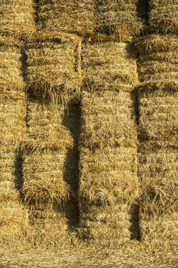 Big bale straw stack