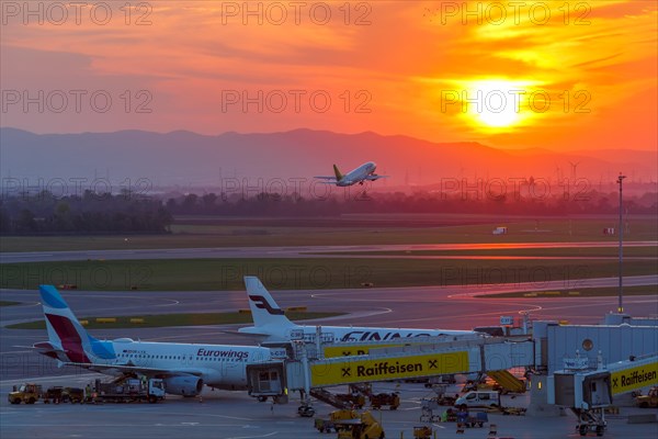 An Air Baltic Boeing 737 takes off from Vienna Airport