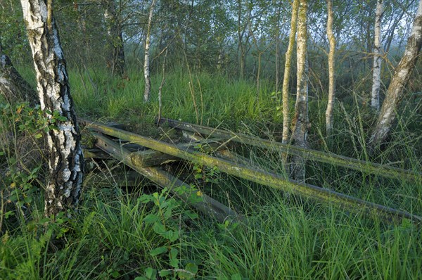 Old tracks of the moor railway