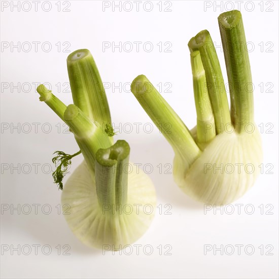 Fresh fennel