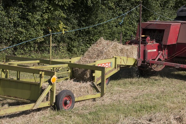 Haymaking