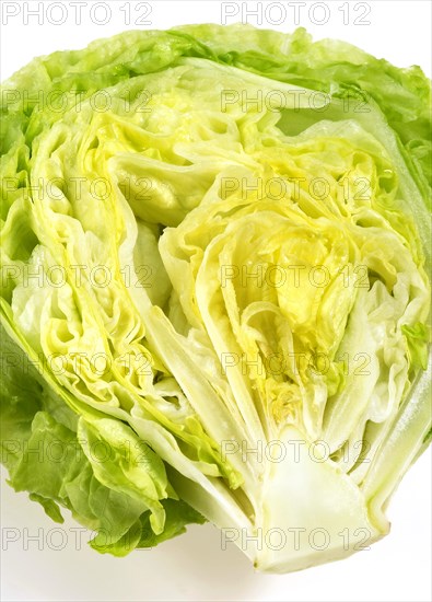 Iceberg lettuce