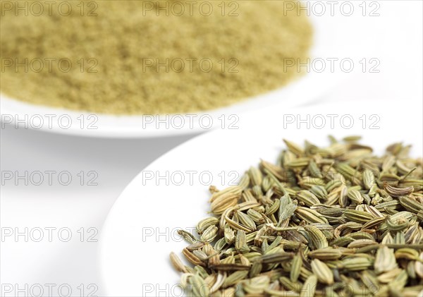 POWDER AND FENNEL SEEDS