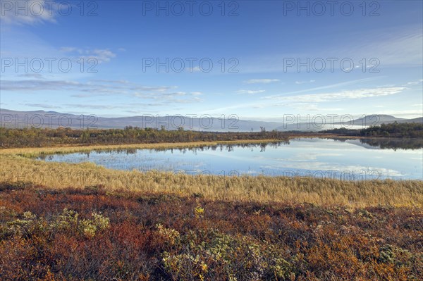 Lake in the marsh area of Fokstumyra Nature Reserve in autumn
