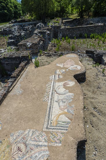 Mosaic in the Archaeological Park of Dion