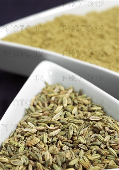 Powder and seeds of fennel