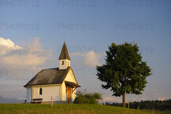 Chiemsee