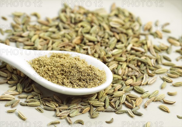 POWDER AND FENNEL SEEDS