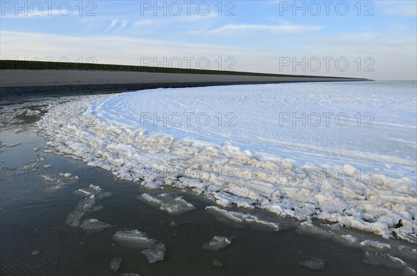 Iced Wadden Sea