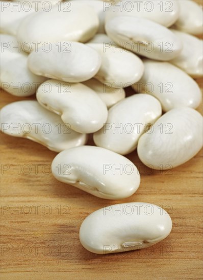 Garden Bean