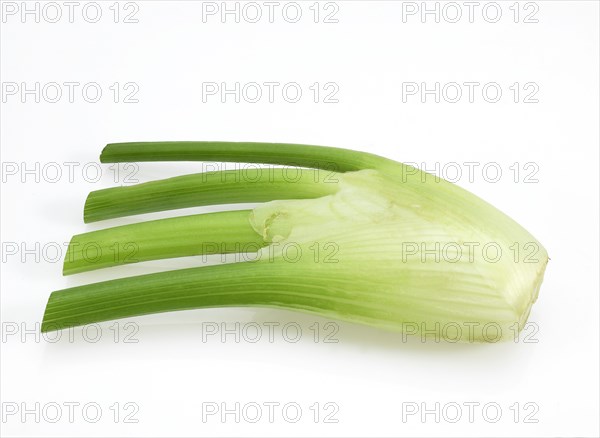 Small fennel