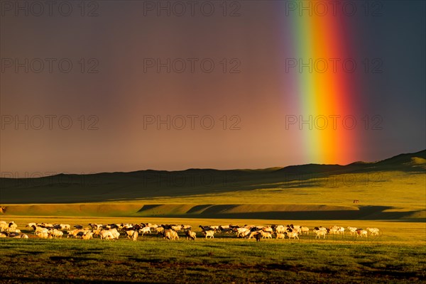 Rainbow after a heavy rain