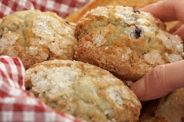 Female hand grabbbing for blueberry muffins in basket