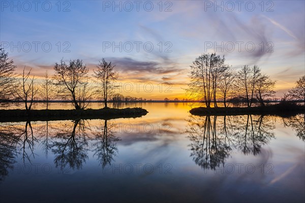 Sunset above donau river with common alder