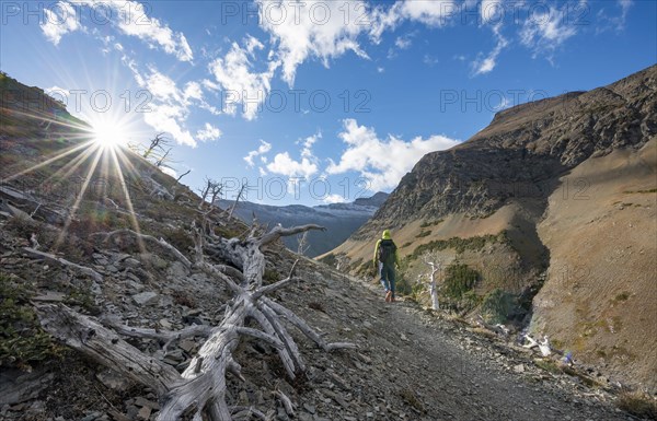 Hiker between dead trees