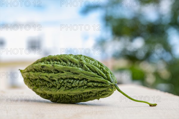 Closeup of fresh organic green bitter gourd