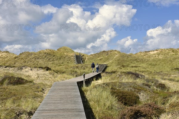 Boardwalks in the dune area