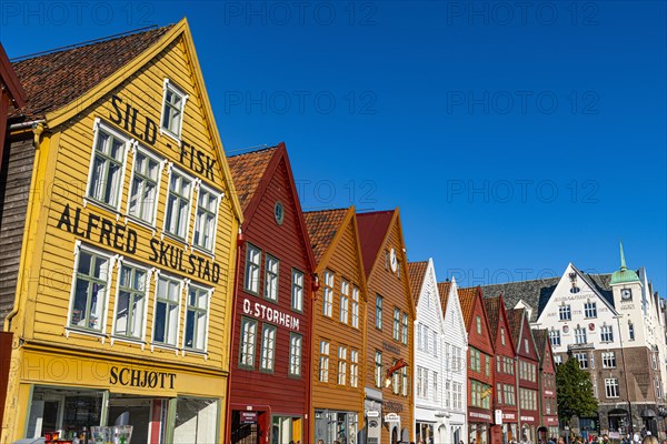 Bryggen