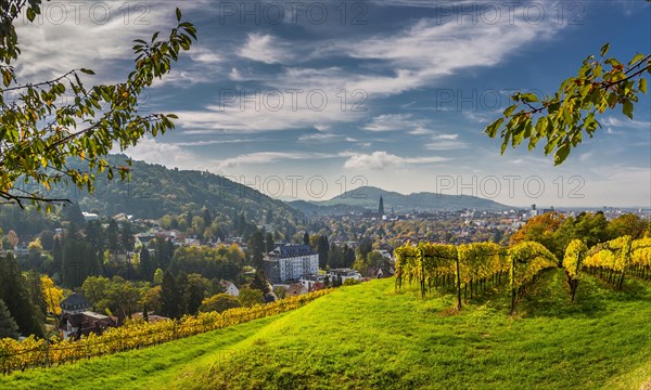 Panorama- Freiburg Cathedral in autumn with vineyard