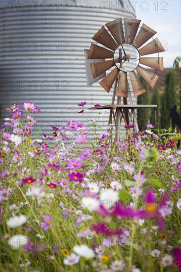 Antique farm windmill and silo near a flower field in a beautiful country outdoor setting
