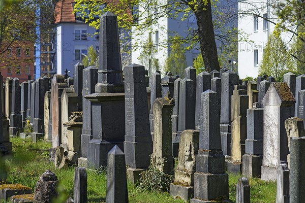 Gravestones at the Old Jewish Cemetery