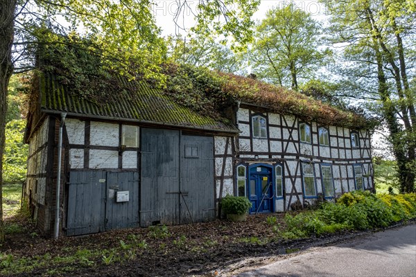 Vacant old farmhouse in the Rundlingsdorf Mammoissel