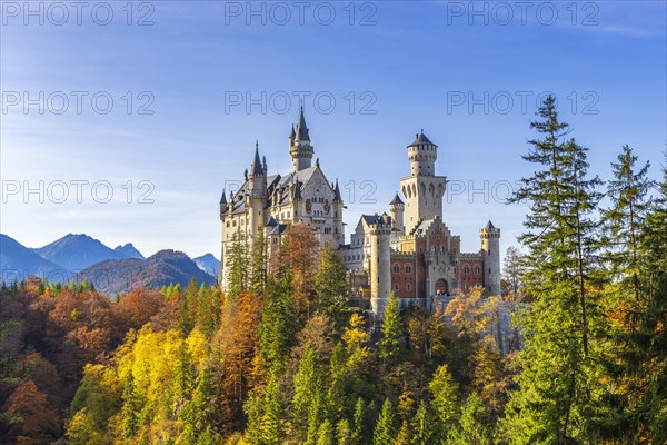 Neuschwanstein Castle in autumn