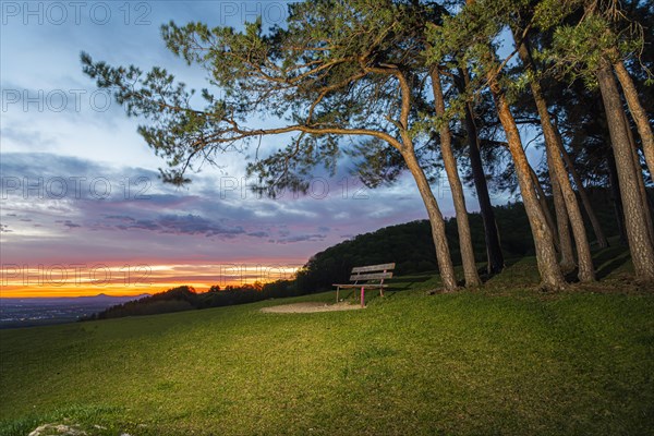 Park bench at sunrise on the Hohenbol below the Teck