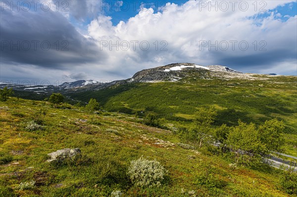 Boardwalk through grass in the Aurland plateau