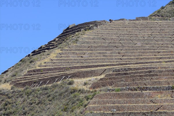 Walled terraces in the Inca ruin complex