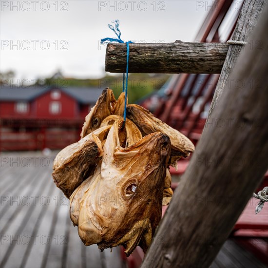 Cod stockfish