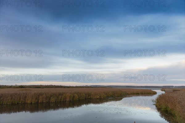 Kanzach in front of the mouth into the Federsee lake