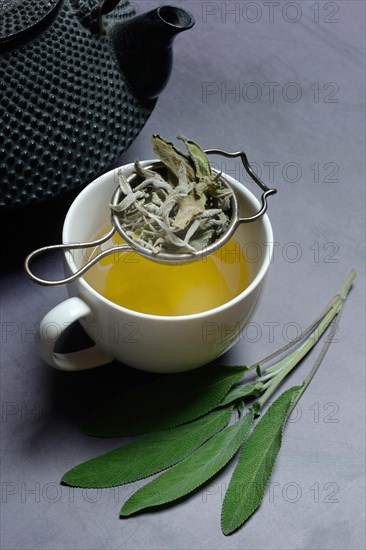 Sage tea in cup with tea strainer