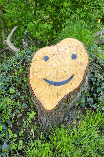 Tree stump with face near Bad Koesen