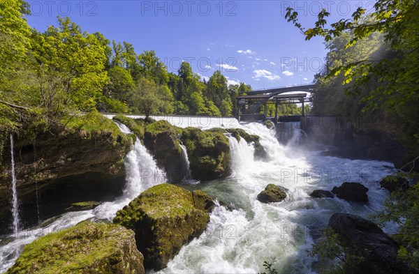 River Traun