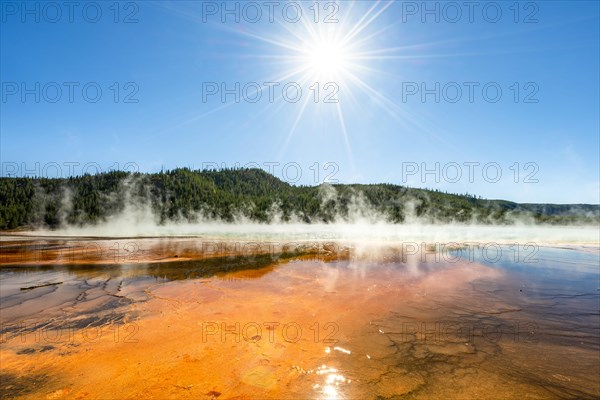 Steaming hot spring with sun star