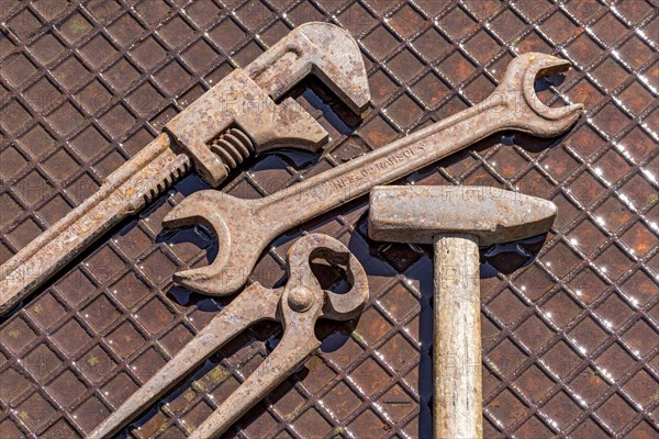 Old tool with Englishman