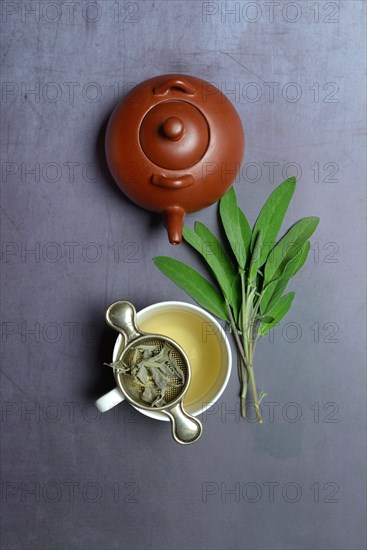 Sage tea in cup with tea strainer