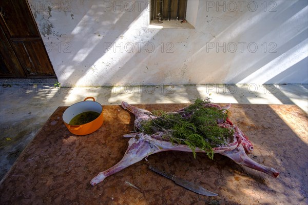 Whole lamb marinating in oil rub and rosemary for asado