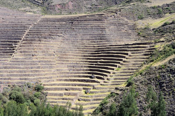 Walled terraces in the Inca ruin complex