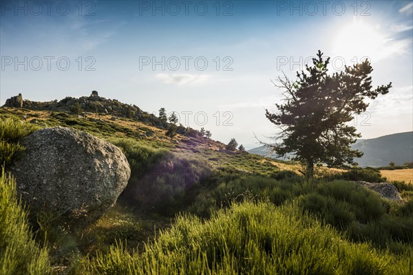 Mont Lozere