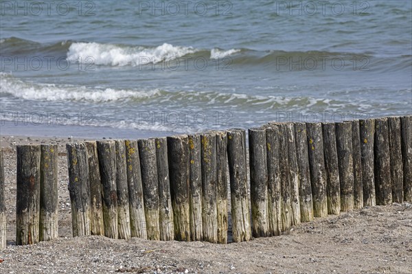 Buhne am Strand