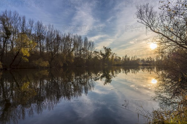 Taubergiessen Nature Reserve