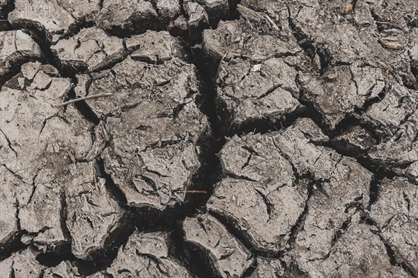 Cracked earth at the bottom of dried up lake