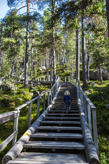 Wooden stairs to the 'Bear's Den' Tafone Rock