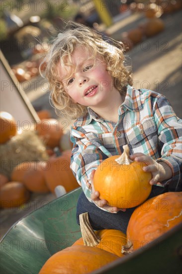 Adorable little boy sitting in wheelbarrow and holding his pumpkin in a rustic ranch setting at the pumpkin patch
