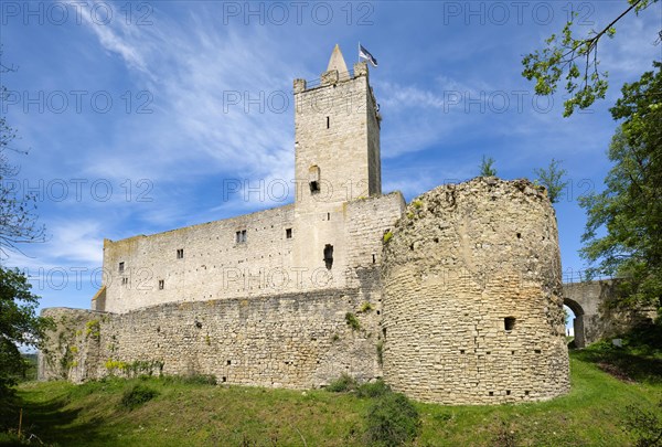 Rudelsburg castle ruins near Bad Koesen