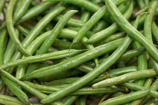Fresh green beans background moist with water